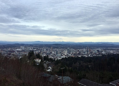 Jelajahi Portland: Tur Kota Kelompok Kecil Setengah Hari