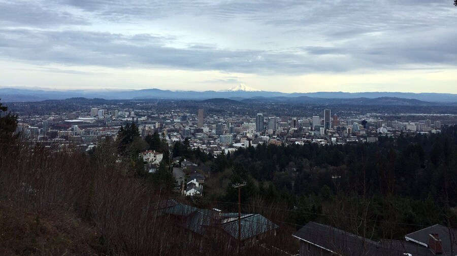 Discover Portland: Half-Day Small Group City Tour