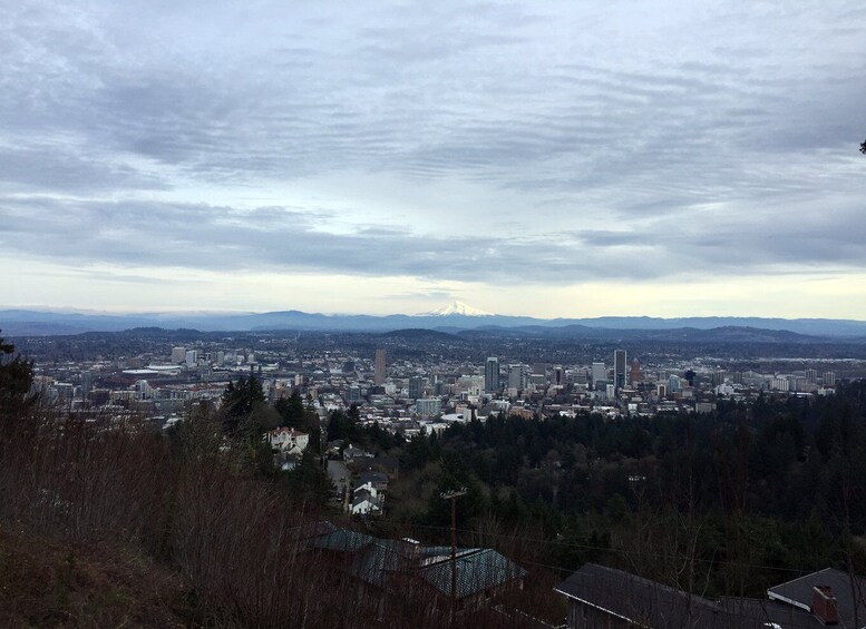 Discover Portland: Half-Day Small Group City Tour