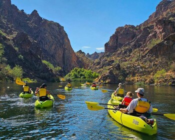 Lac Saguaro : Excursion guidée en kayak