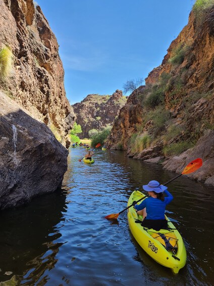 Picture 7 for Activity Saguaro Lake: Guided Kayaking Tour