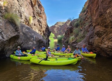 Lac Saguaro : Excursion guidée en kayak