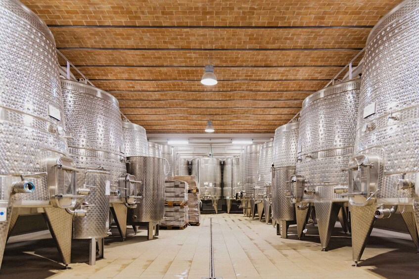 Picture 3 for Activity Chianciano Terme: Private Guided Winery Tour & Wine Tasting