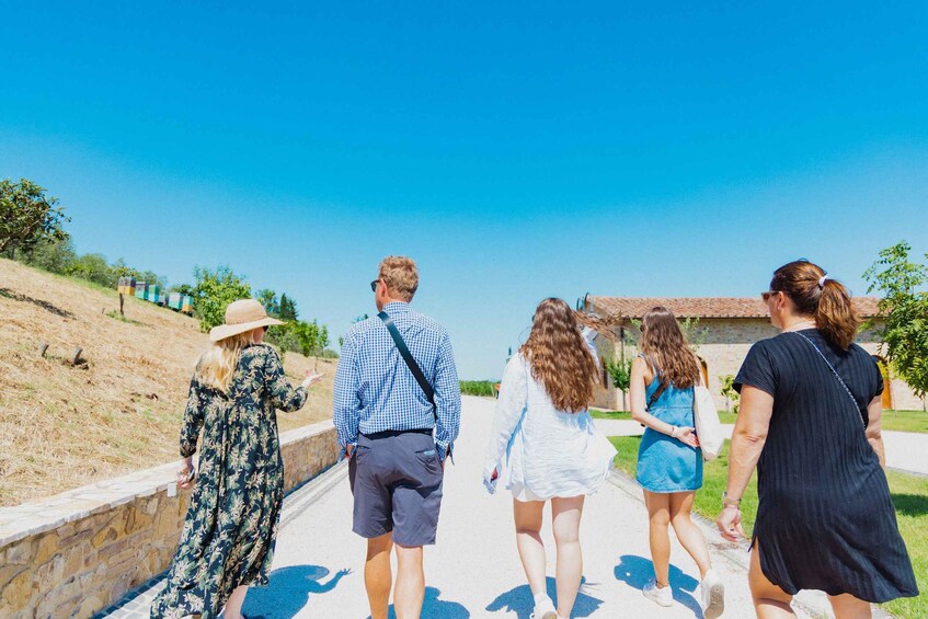 Picture 9 for Activity Chianciano Terme: Private Guided Winery Tour & Wine Tasting