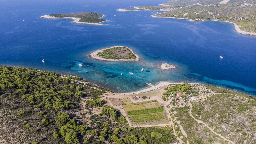 Picture 7 for Activity Hvar: Blue Cave, Green Cave & Stiniva Beach Speed Boat Tour