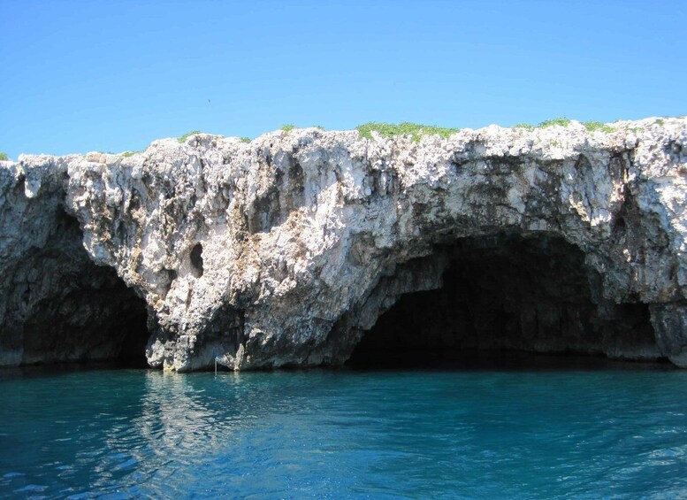 Picture 6 for Activity Hvar: Blue Cave, Green Cave & Stiniva Beach Speed Boat Tour