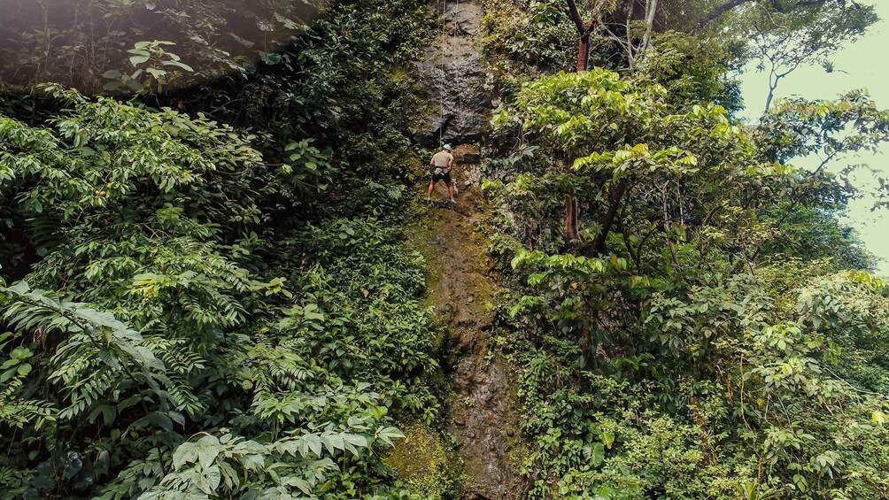 Picture 3 for Activity La Fortuna: Zip Line Experience and Thermal Pools