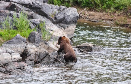 Kremmling: Upper Colorado Half-Day Guided Float