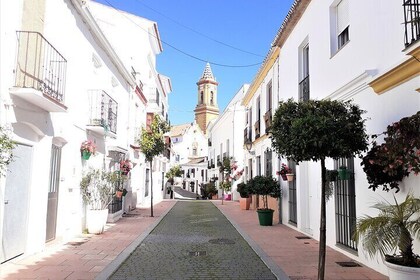 Full Day Private Tour in Gibraltar and Estepona from Marbella