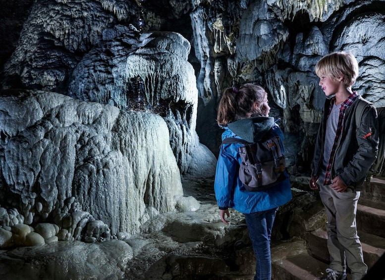 Rochefort: Caves of Han & Wildlife Park Bundle Entry Ticket