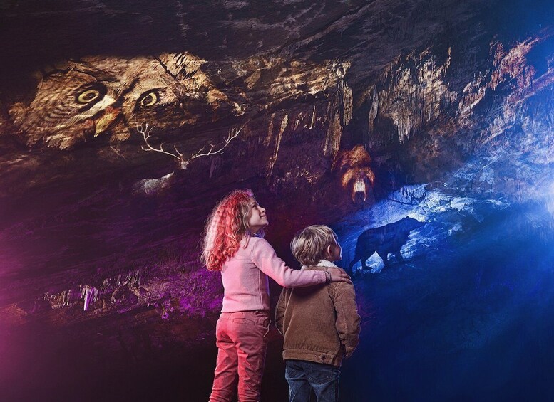 Picture 4 for Activity Ardennes: Caves of Han & Wildlife Park Bundle Entry Ticket