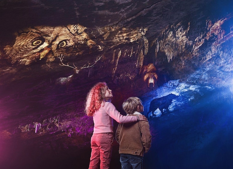Picture 4 for Activity Ardennes: Caves of Han & Wildlife Park Bundle Entry Ticket