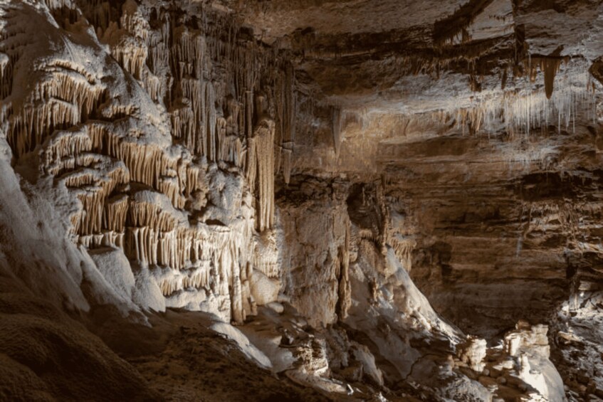 Picture 8 for Activity San Antonio: Discovery Tour at Natural Bridge Caverns