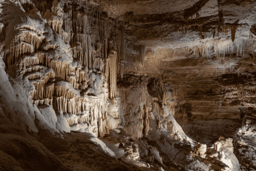 Picture 8 for Activity San Antonio: Discovery Tour at Natural Bridge Caverns