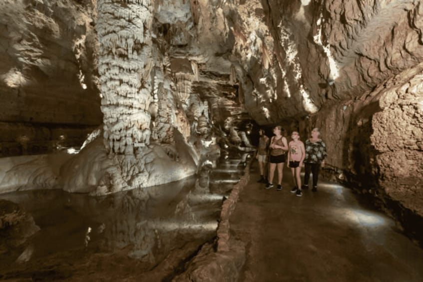 Picture 9 for Activity San Antonio: Discovery Tour at Natural Bridge Caverns