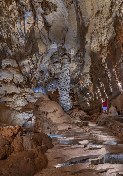 Picture 12 for Activity San Antonio: Discovery Tour at Natural Bridge Caverns