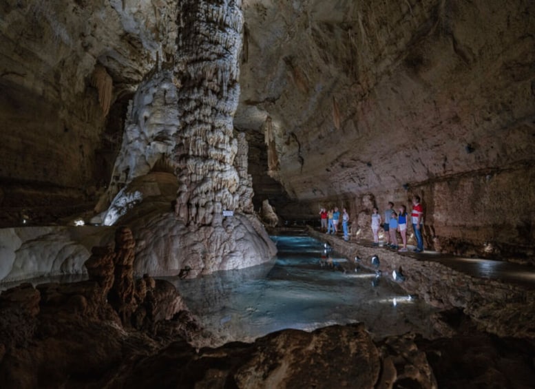 Picture 4 for Activity San Antonio: Discovery Tour at Natural Bridge Caverns