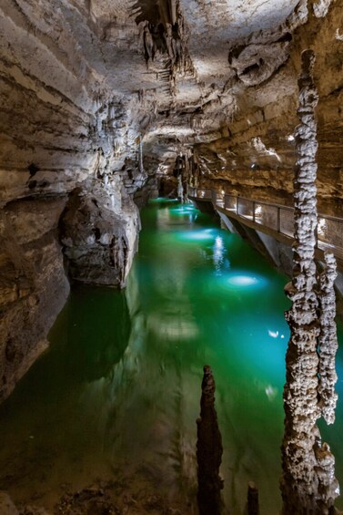 Picture 10 for Activity San Antonio: Discovery Tour at Natural Bridge Caverns