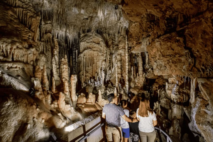 Picture 7 for Activity San Antonio: Discovery Tour at Natural Bridge Caverns