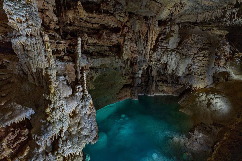 Picture 3 for Activity San Antonio: Discovery Tour at Natural Bridge Caverns