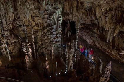 San Antonio: Excursión de descubrimiento en las Cavernas del Puente Natural