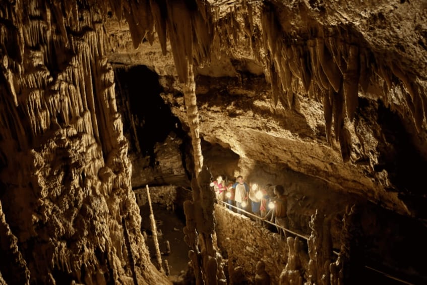 Picture 6 for Activity San Antonio: Discovery Tour at Natural Bridge Caverns