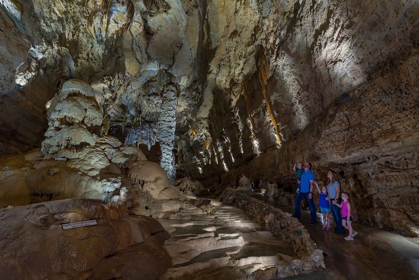 Picture 2 for Activity San Antonio: Discovery Tour at Natural Bridge Caverns