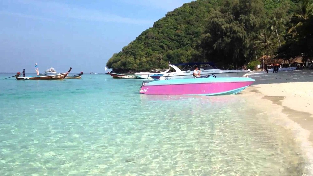 Phuket: Coral Island Tour and Sea Walking