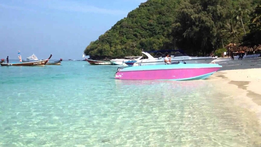 Phuket: Coral Island Tour and Sea Walking