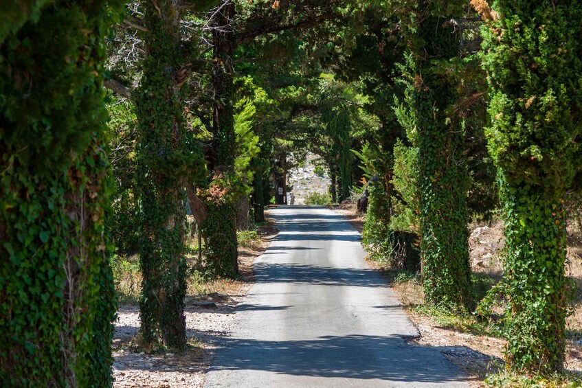 Picture 5 for Activity Dubrovnik: Game of Thrones Locations Driving Tour