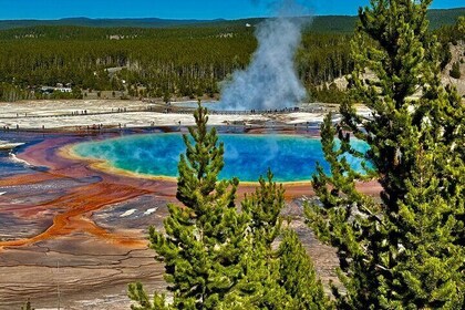 The Grand Yellowstone 3 day private experience from Cody Wyoming