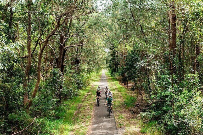 Cruising the trail with ease on an E Bike