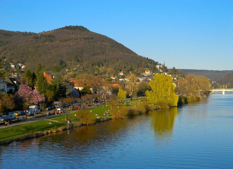 Picture 4 for Activity Heidelberg Castle Tour: Residence of the Electors