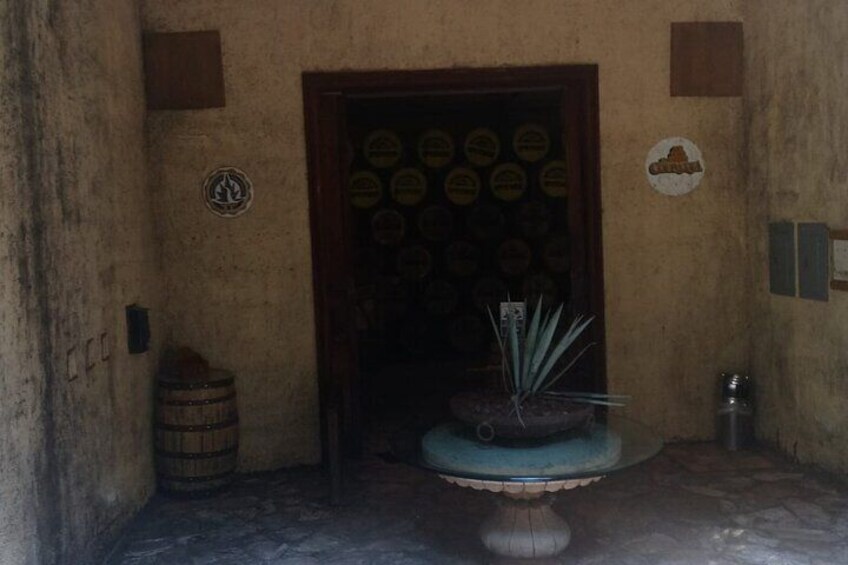 Private Tequila Tour in Guadalajara