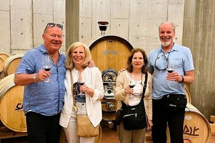 Premium Ribera del Duero tour with winemaker-guide