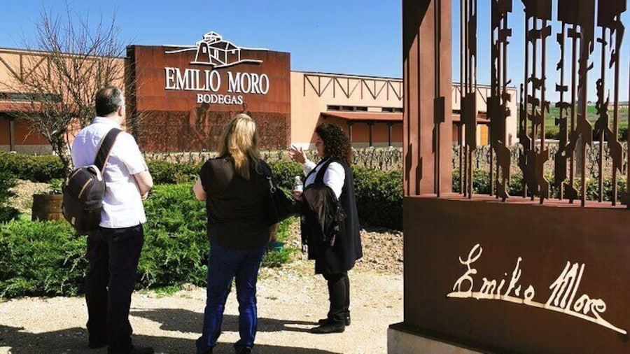 Premium Ribera del Duero tour with winemaker-guide