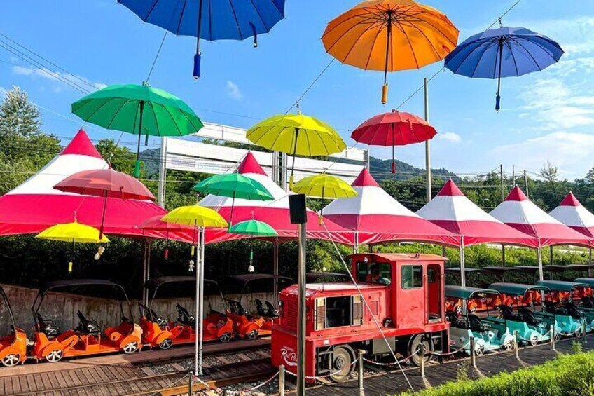 Alpaca World Tour with Nami Island & optional Railbike or Garden