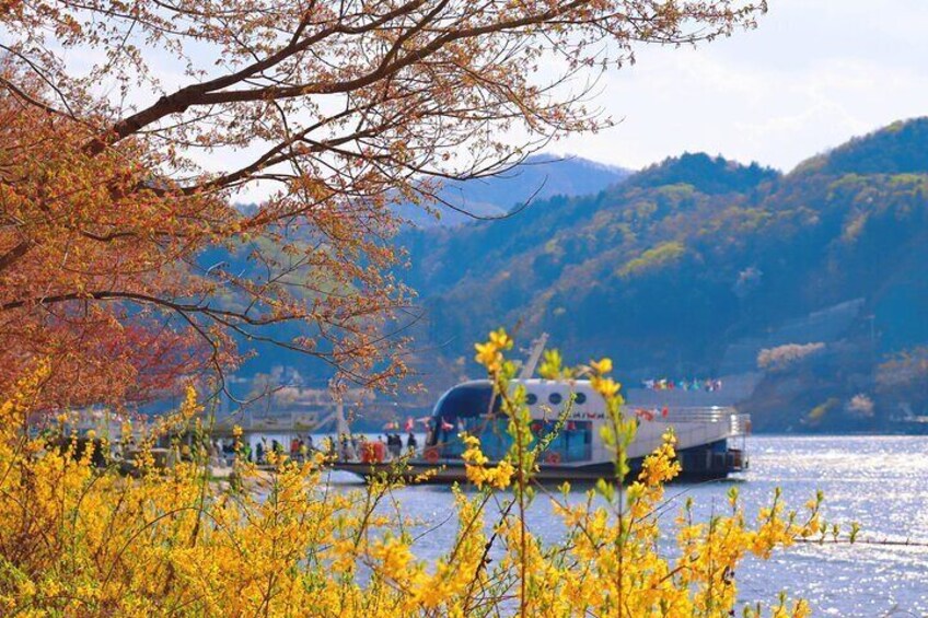 Alpaca World Tour with Nami Island & optional Railbike or Garden