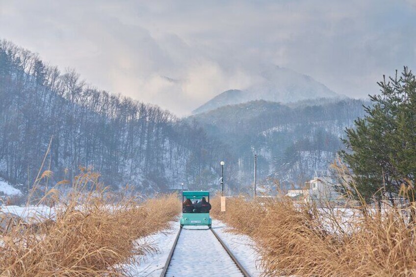 Alpaca World Tour with Nami Island & optional Railbike or Garden