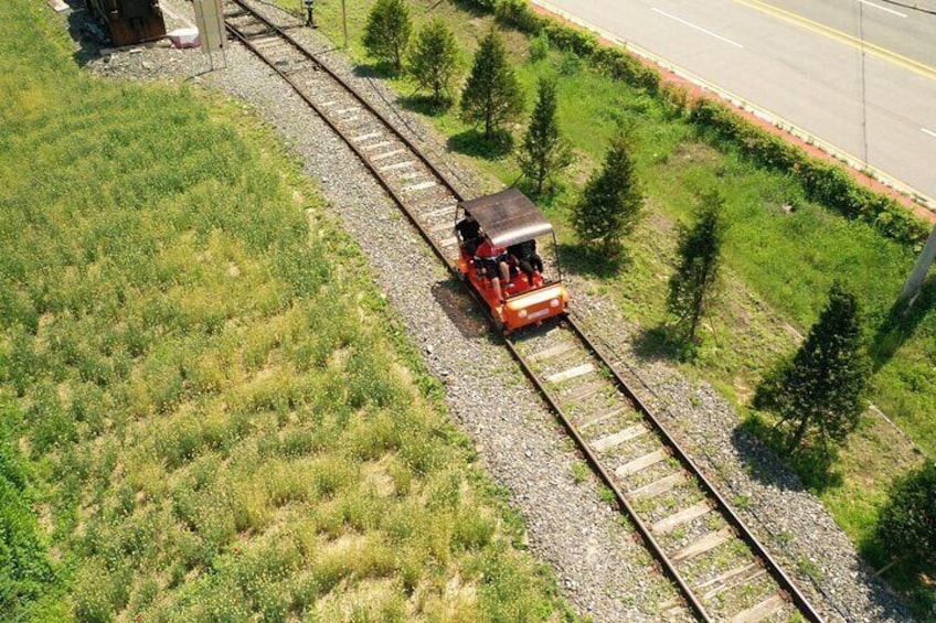 Alpaca World Tour with Nami Island & optional Railbike or Garden