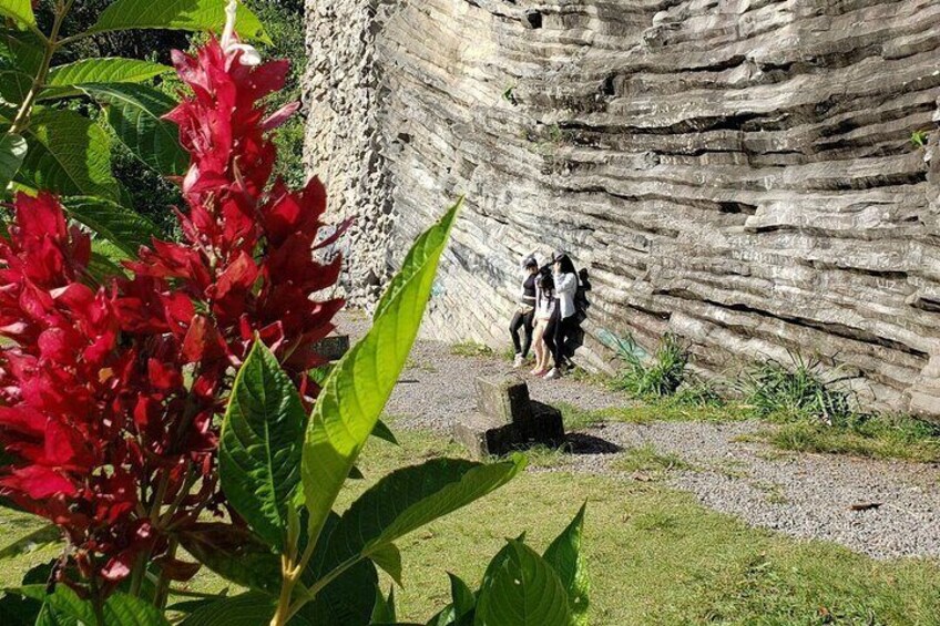 Private Honey and Bees BiciTour in Boquete