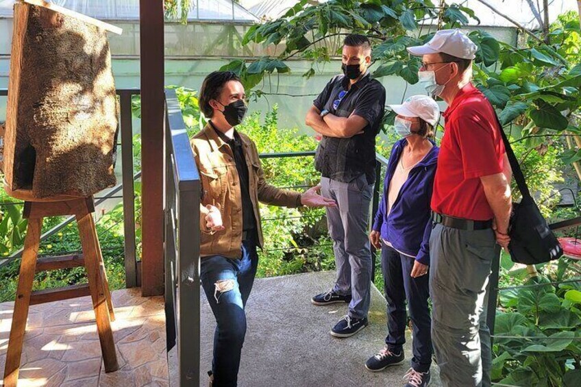 Private Honey and Bees BiciTour in Boquete