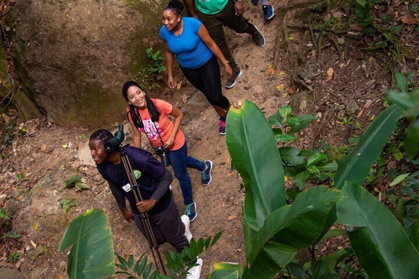 St Lucia Ultimate 3 Package: Aerial Tram, Zipline and Hiking