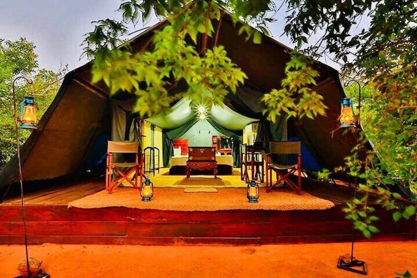 Private Yala Safari with Luxury Tented Camping From Ella By Sigiritrip Tours - Sri Lanka