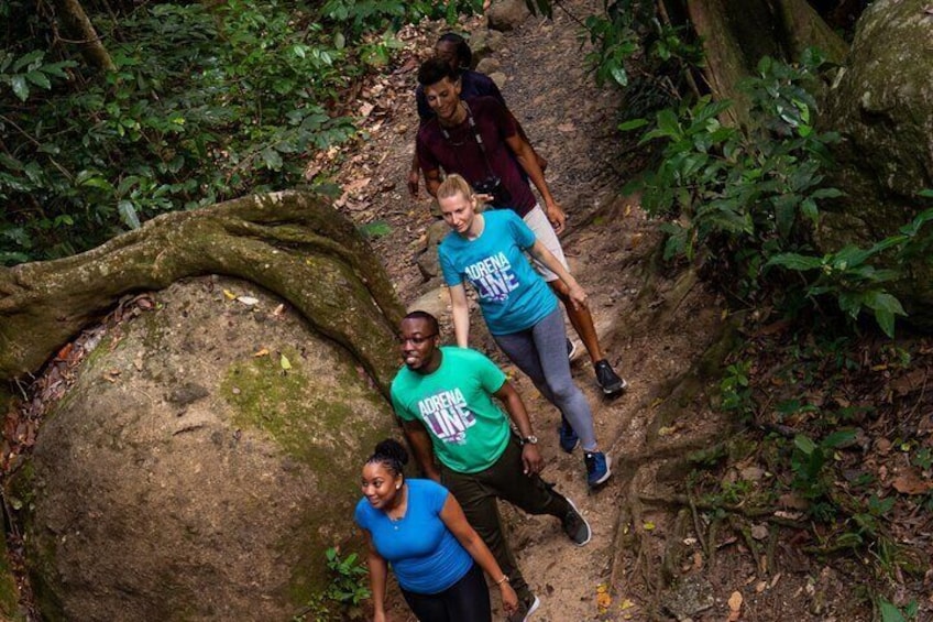 St Lucia Rainforest Canopy Zip Line Adventure