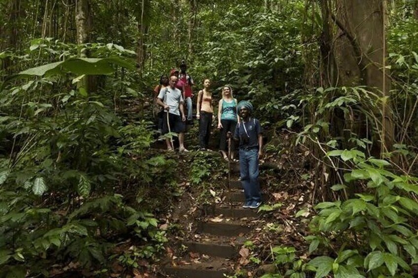 St Lucia Rainforest Canopy Zip Line Adventure 