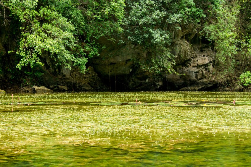 FULL-DAY DISCOVER ANCIENT HOA LU AND TRANG AN FROM HA NOI