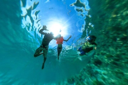 Scuba Diving Course for Beginners with Lunch in Zanzibar