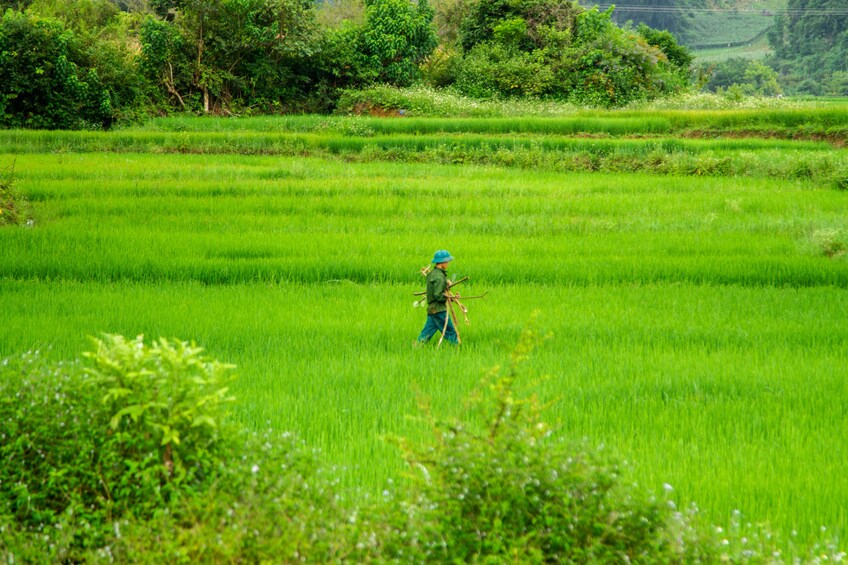 FULL-DAY DISCOVER MAI CHAU FROM HA NOI