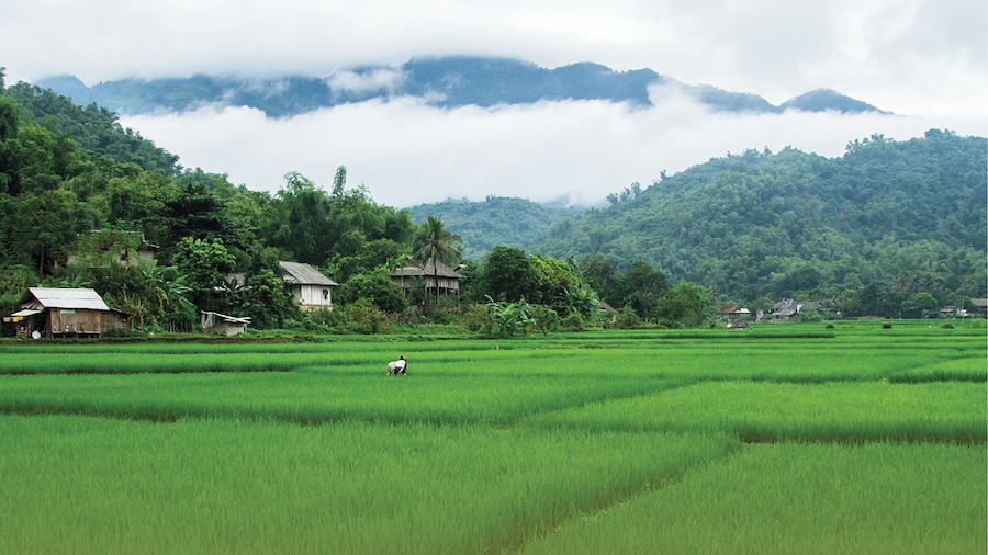 Ha Noi: Full-day Authentic Mai Chau Experience
